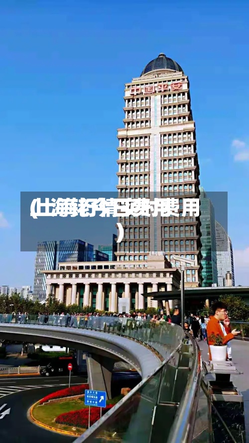 上海铑今日费用
(上海行情实时费用
)-第2张图片