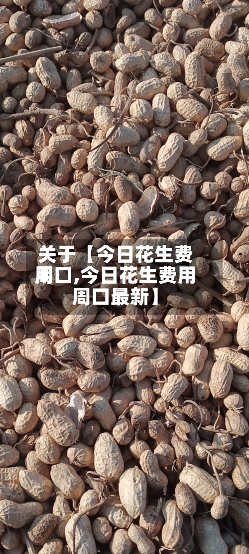 关于【今日花生费用周口,今日花生费用周口最新】-第3张图片