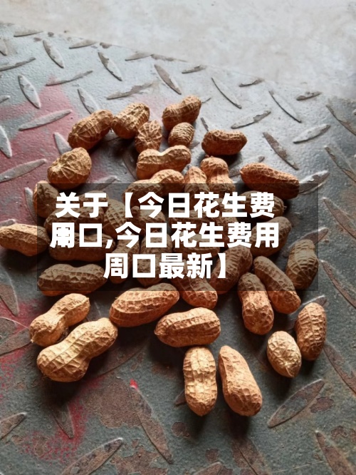 关于【今日花生费用周口,今日花生费用周口最新】-第2张图片