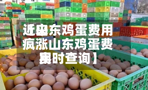 近来【山东鸡蛋费用疯涨山东鸡蛋费用实时查询】-第2张图片