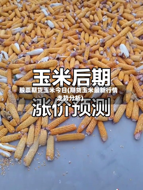 股票期货玉米今日(期货玉米最新行情走势分析)-第2张图片
