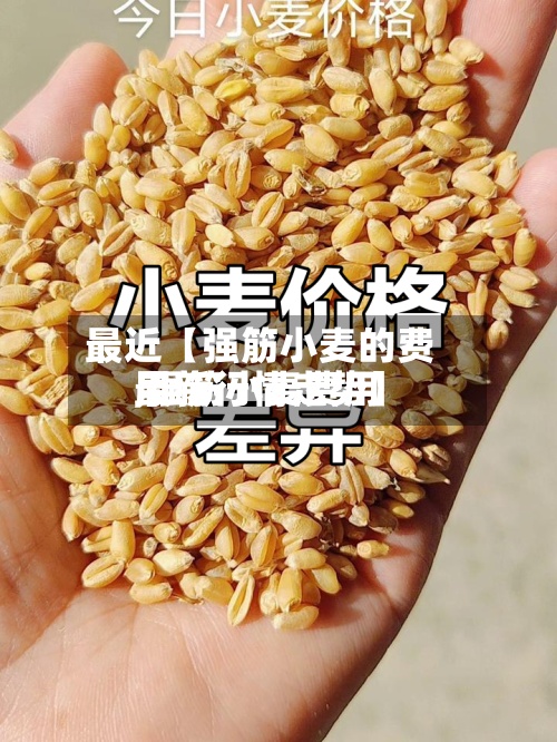 最近【强筋小麦的费用
,强筋小麦费用
最新行情走势】-第3张图片
