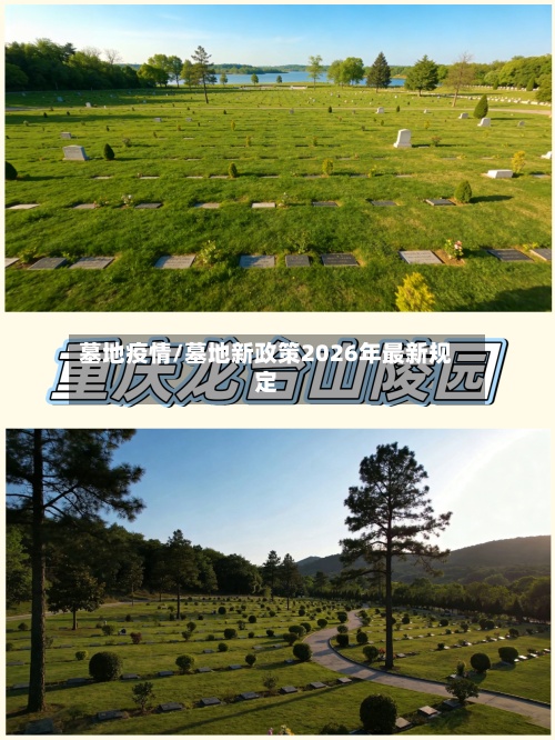 墓地疫情/墓地新政策2026年最新规定-第2张图片