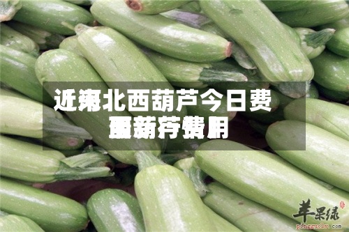 近来
【河北西葫芦今日费用
西葫芦费用
最新行情】-第2张图片