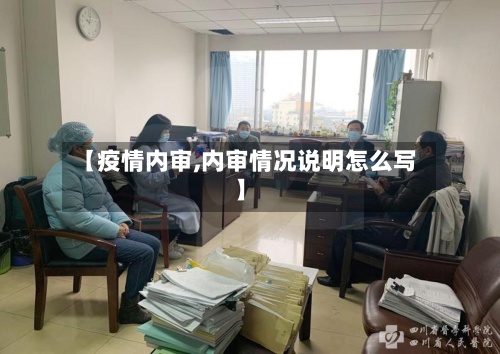 【疫情内审,内审情况说明怎么写】