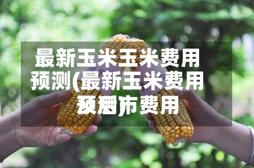 最新玉米玉米费用预测(最新玉米费用及后市费用预测)-第2张图片