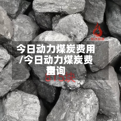 今日动力煤炭费用/今日动力煤炭费用查询