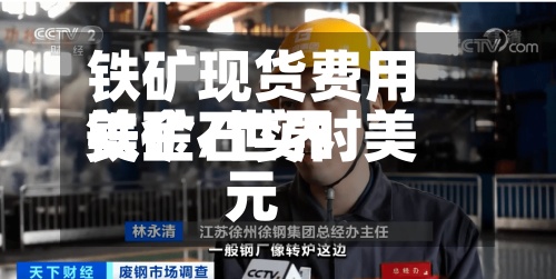 铁矿现货费用美金/世界铁矿石实时美元-第2张图片