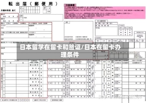 日本留学在留卡和签证/日本在留卡办理条件-第2张图片