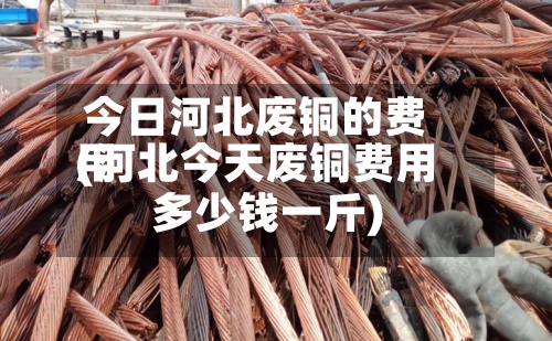 今日河北废铜的费用
(河北今天废铜费用
多少钱一斤)-第3张图片
