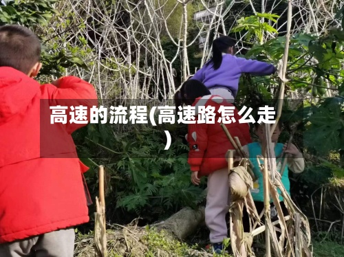 高速的流程(高速路怎么走)