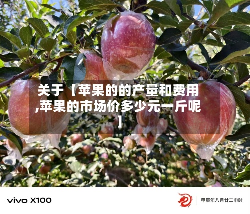 关于【苹果的的产量和费用,苹果的市场价多少元一斤呢】-第3张图片