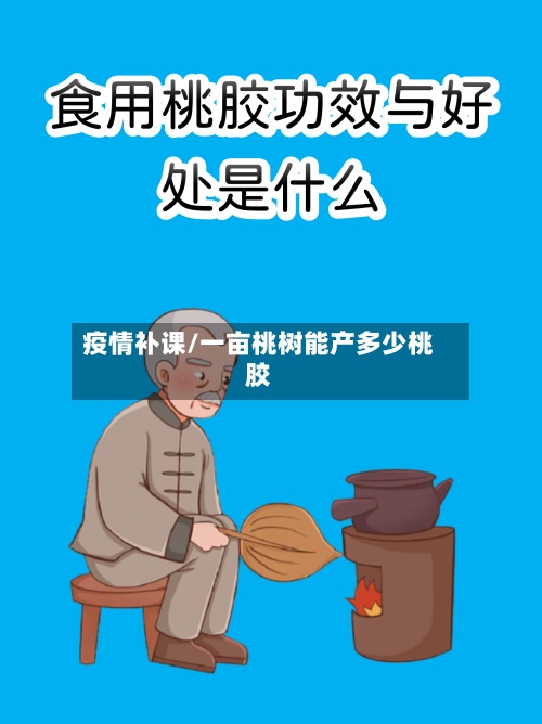疫情补课/一亩桃树能产多少桃胶