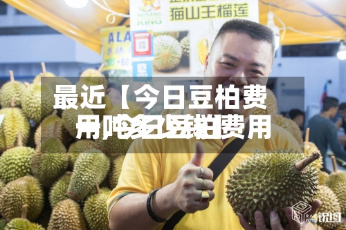 最近【今日豆柏费用一,今日豆柏费用一吨多少钱】