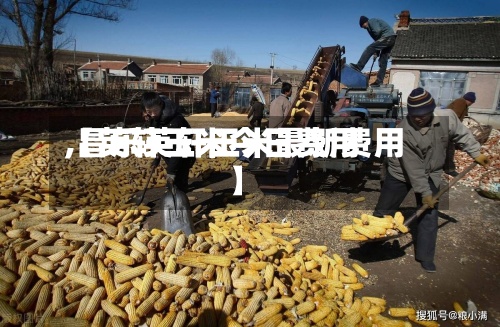 【英轩玉米今日费用
,昌乐英轩玉米最新费用
】-第2张图片