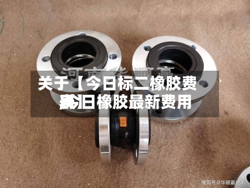 关于【今日标二橡胶费用,今日橡胶最新费用表】