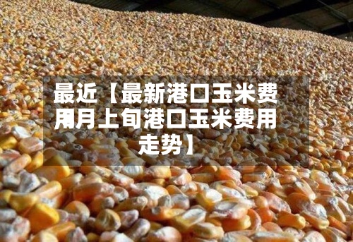 最近【最新港口玉米费用,8月上旬港口玉米费用走势】-第2张图片