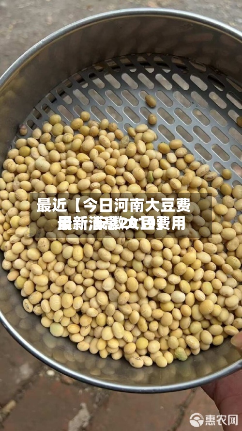 最近【今日河南大豆费用
最新,安徽大豆费用
最新消息2019】-第2张图片