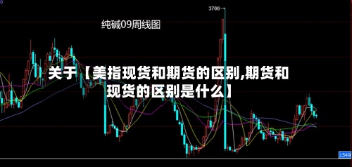 关于【美指现货和期货的区别,期货和现货的区别是什么】-第3张图片