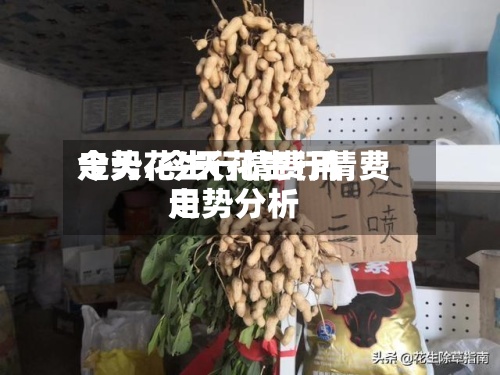 今天花生行情费用走势/今天花生行情费用走势分析