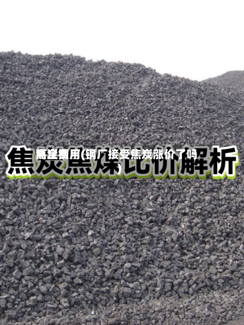 焦炭费用高企钢厂(钢厂接受焦炭涨价了吗)-第3张图片