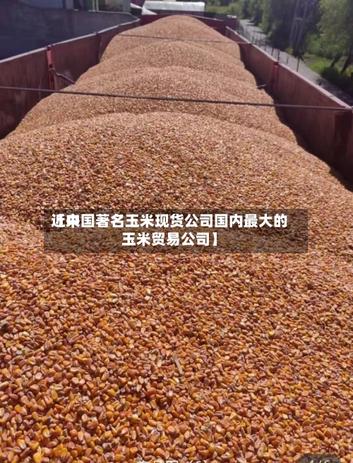 近来
【中国著名玉米现货公司国内最大的玉米贸易公司】-第2张图片